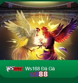 u888